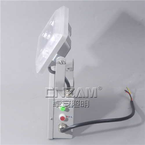 ZGE203(NFE9178)（GAD605-J）應(yīng)急照明壁燈-3
