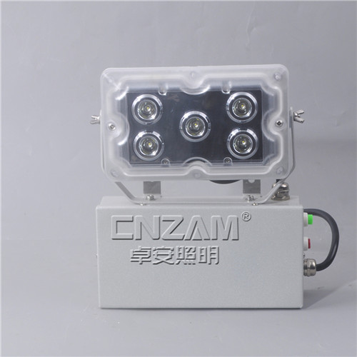ZGE203(NFE9178)（GAD605-J）應(yīng)急照明壁燈-2