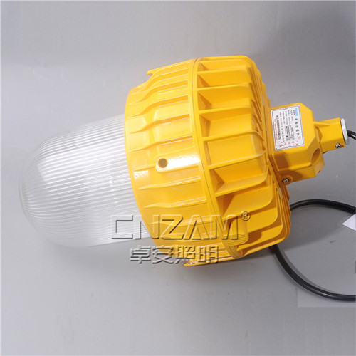 ZBF85S(BPC8710) 防爆平臺燈-3