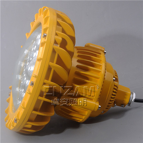 ZBD102-III LED免維護(hù)防爆泛光燈-4