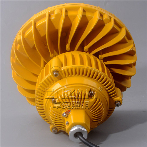 ZBD102-III LED免維護(hù)防爆泛光燈-2