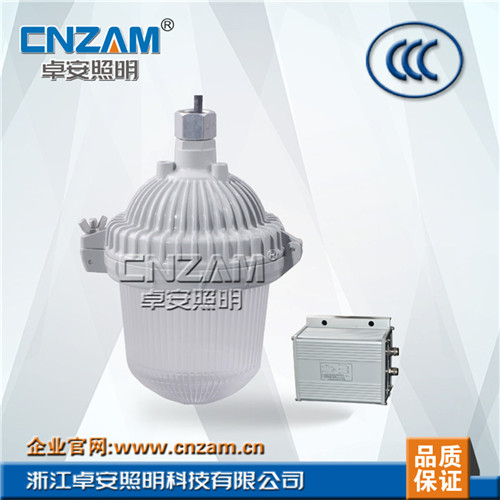 ZGE602（NFE9112） 防眩應(yīng)急泛光燈