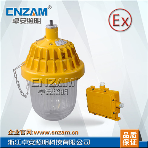 ZBE804(BPE8720)防爆平臺應(yīng)急燈