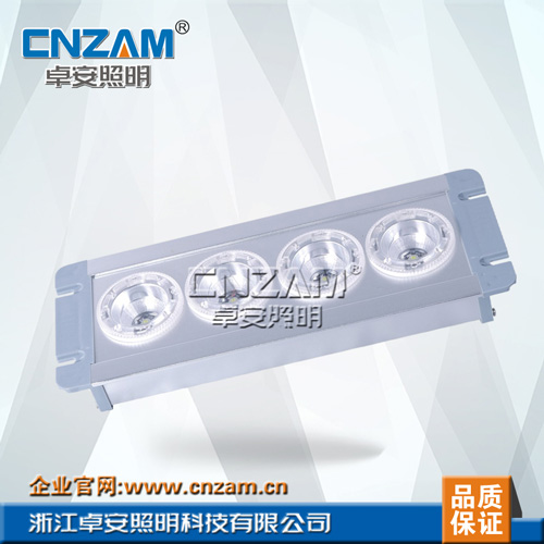 ZGD202 頂燈