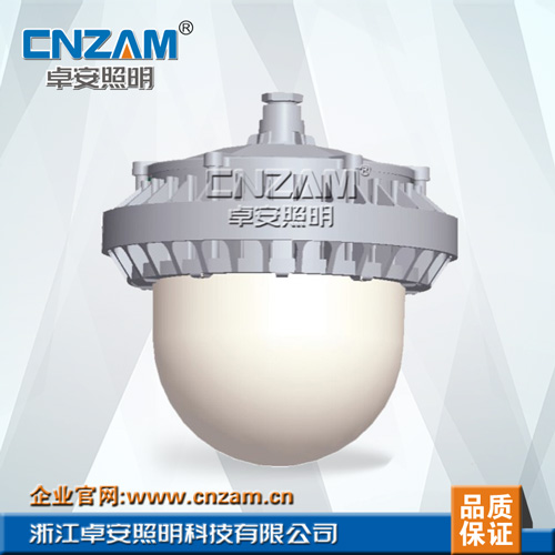 ZGD207 LED防眩平臺燈