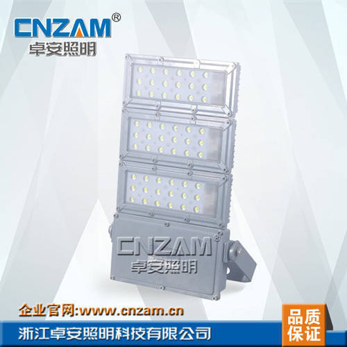 ZGD210  LED投光燈/泛光燈