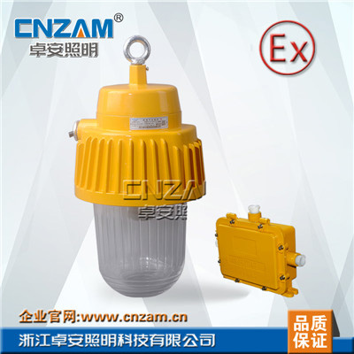 ZBE803防爆應(yīng)急平臺燈